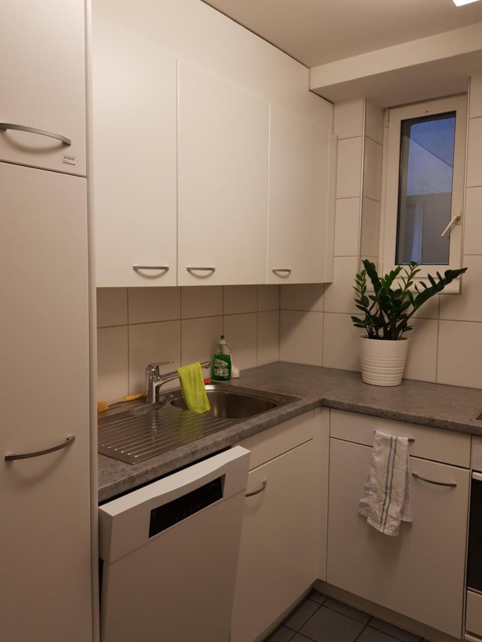 Homestay Zurich City Exteriér fotografie